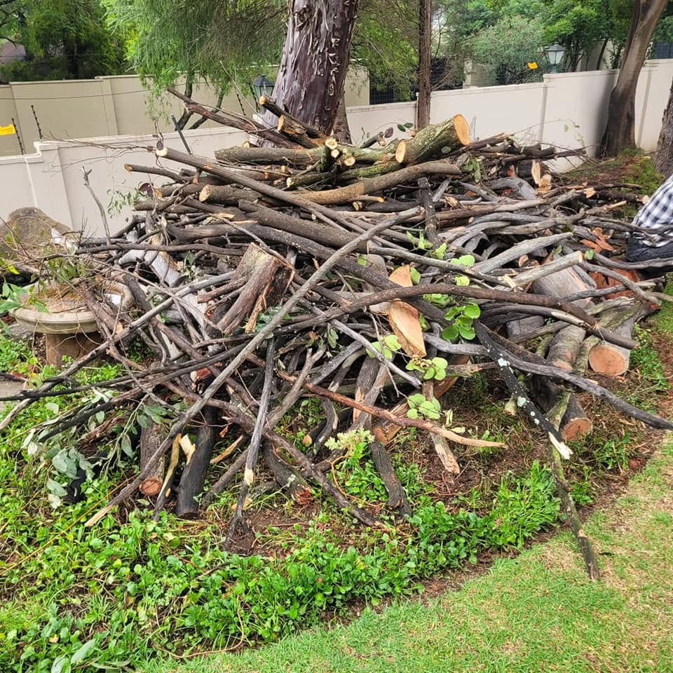 Branches gathered for a complete site clearance